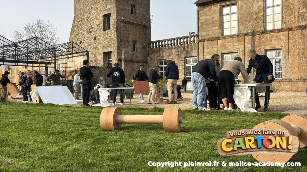 vous allez faire un carton copyright pleinvol.fr malice academy.com 30