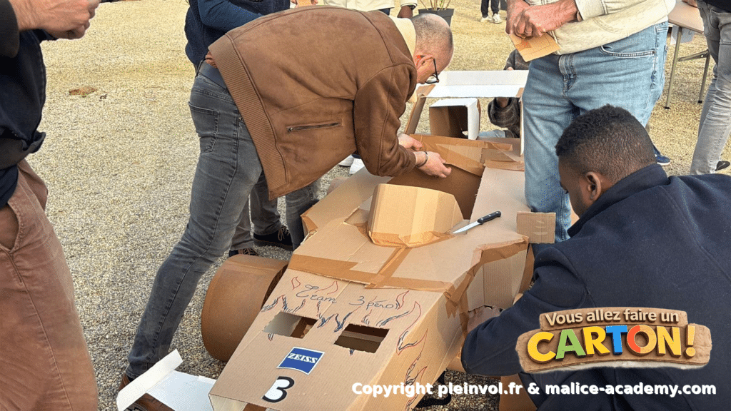 vous allez faire un carton copyright pleinvol.fr malice academy.com 7