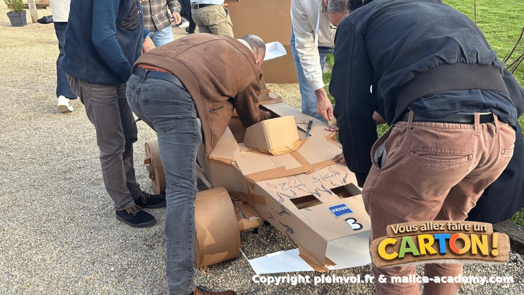 vous allez faire un carton copyright pleinvol.fr malice academy.com 8